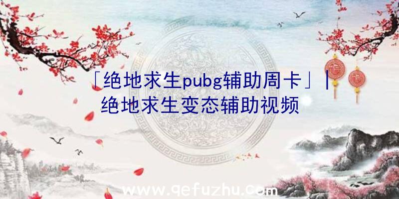 「绝地求生pubg辅助周卡」|绝地求生变态辅助视频